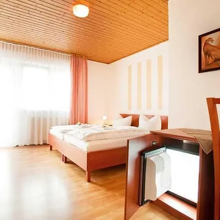 Flößerstube Hotel 3*